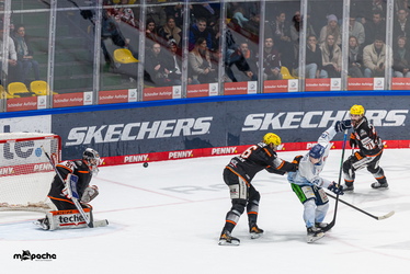 Löwen Frankfurt - Straubing Tigers - 14.12.25 - 117