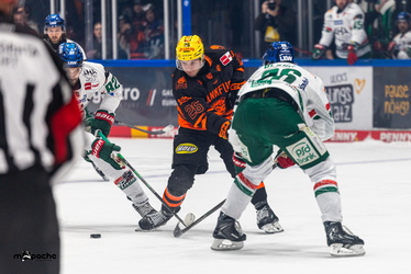 Löwen Frankfurt - Augsburger Panther - 19.12.25 - 035
