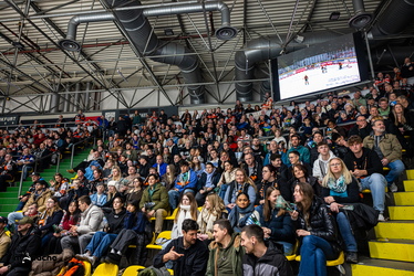 Löwen Frankfurt - Augsburger Panther - 19.12.25 - 052