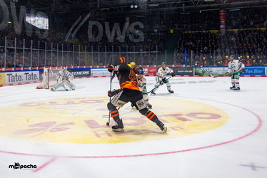 Löwen Frankfurt - Augsburger Panther - 19.12.25 - 063