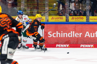 Löwen Frankfurt - Augsburger Panther - 19.12.25 - 066