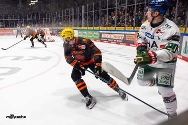 Löwen Frankfurt - Augsburger Panther - 19.12.25 - 070