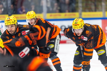 Löwen Frankfurt - Augsburger Panther - 19.12.25 - 072