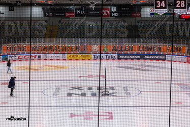 Löwen Frankfurt - Kölner Haie - 23.12.25 - 002