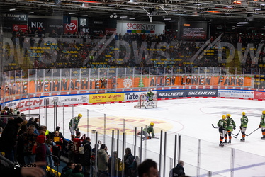 Löwen Frankfurt - Kölner Haie - 23.12.25 - 017