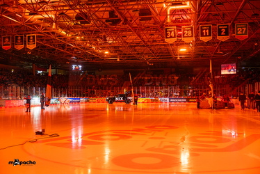 Löwen Frankfurt - Kölner Haie - 23.12.25 - 018