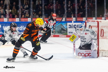 Löwen Frankfurt - Kölner Haie - 23.12.25 - 079