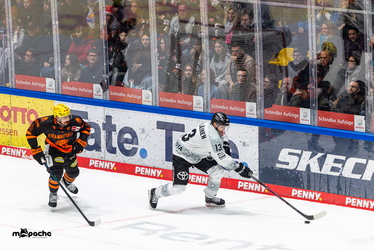 Löwen Frankfurt - Kölner Haie - 23.12.25 - 089