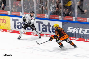 Löwen Frankfurt - Kölner Haie - 23.12.25 - 092