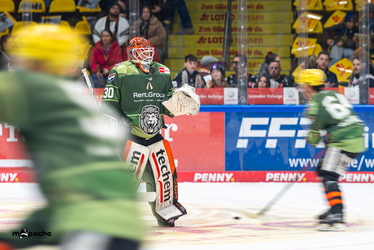 Löwen Frankfurt - Dresdner Eislöwen - 30.12.25 - 002