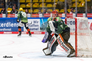 Löwen Frankfurt - Dresdner Eislöwen - 30.12.25 - 003