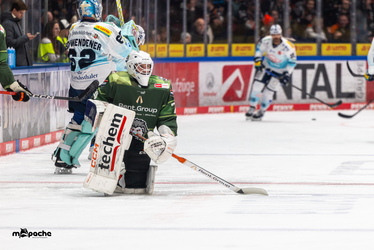 Löwen Frankfurt - Dresdner Eislöwen - 30.12.25 - 010