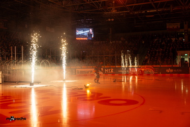 Löwen Frankfurt - Dresdner Eislöwen - 30.12.25 - 018