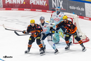 Löwen Frankfurt - Dresdner Eislöwen - 30.12.25 - 020
