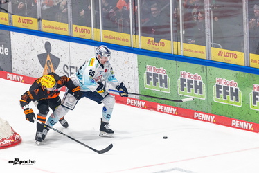 Löwen Frankfurt - Dresdner Eislöwen - 30.12.25 - 021