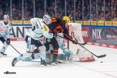Löwen Frankfurt - Dresdner Eislöwen - 30.12.25 - 023