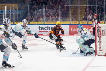 Löwen Frankfurt - Dresdner Eislöwen - 30.12.25 - 024