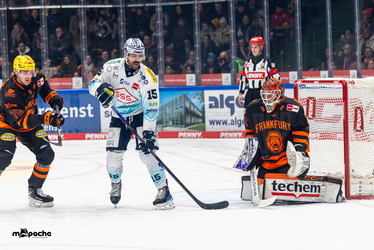 Löwen Frankfurt - Dresdner Eislöwen - 30.12.25 - 027