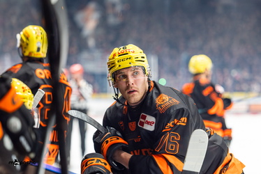 Löwen Frankfurt - Dresdner Eislöwen - 30.12.25 - 028