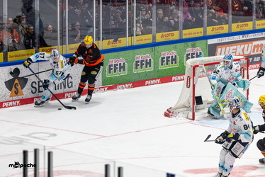 Löwen Frankfurt - Dresdner Eislöwen - 30.12.25 - 031