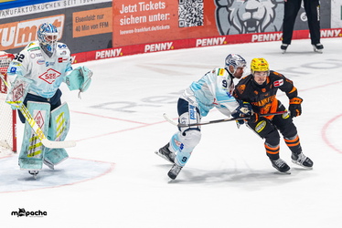 Löwen Frankfurt - Dresdner Eislöwen - 30.12.25 - 033
