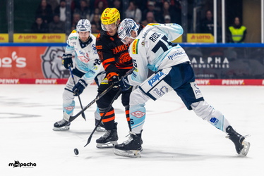 Löwen Frankfurt - Dresdner Eislöwen - 30.12.25 - 045