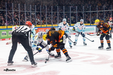 Löwen Frankfurt - Dresdner Eislöwen - 30.12.25 - 047
