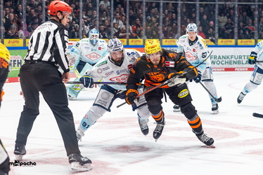 Löwen Frankfurt - Dresdner Eislöwen - 30.12.25 - 048