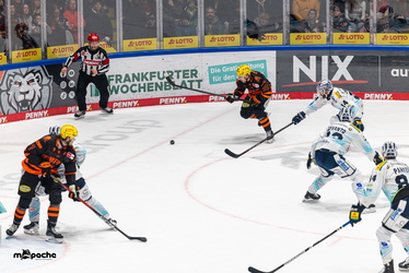 Löwen Frankfurt - Dresdner Eislöwen - 30.12.25 - 050