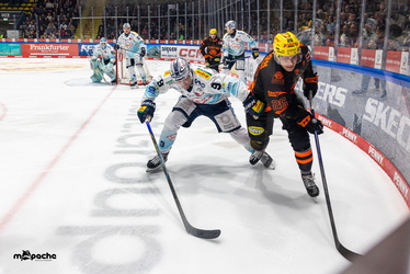 Löwen Frankfurt - Dresdner Eislöwen - 30.12.25 - 057