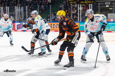 Löwen Frankfurt - Dresdner Eislöwen - 30.12.25 - 058
