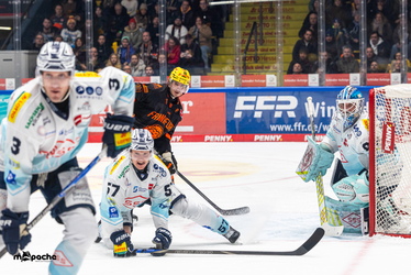 Löwen Frankfurt - Dresdner Eislöwen - 30.12.25 - 059