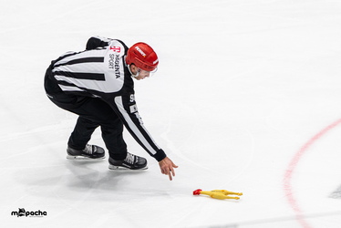 Löwen Frankfurt - Dresdner Eislöwen - 30.12.25 - 062