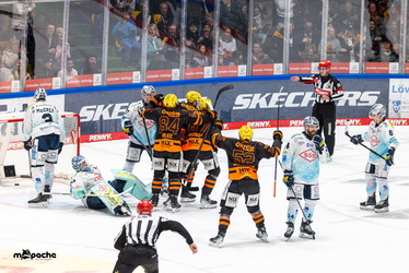 Löwen Frankfurt - Dresdner Eislöwen - 30.12.25 - 068