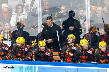 Löwen Frankfurt - Dresdner Eislöwen - 30.12.25 - 075