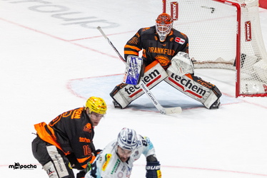 Löwen Frankfurt - Dresdner Eislöwen - 30.12.25 - 077