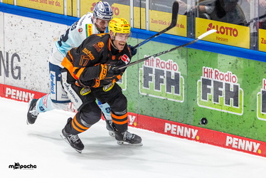 Löwen Frankfurt - Dresdner Eislöwen - 30.12.25 - 083