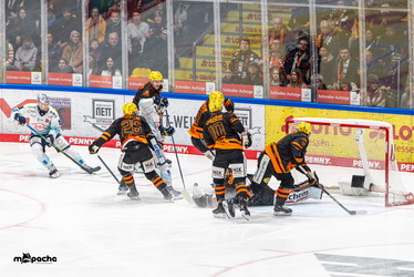 Löwen Frankfurt - Dresdner Eislöwen - 30.12.25 - 093