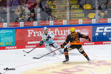 Löwen Frankfurt - Dresdner Eislöwen - 30.12.25 - 100