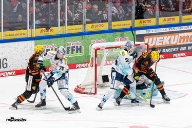 Löwen Frankfurt - Dresdner Eislöwen - 30.12.25 - 103
