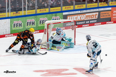 Löwen Frankfurt - Dresdner Eislöwen - 30.12.25 - 104