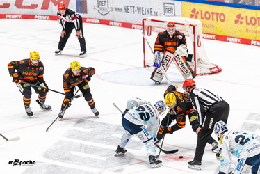 Löwen Frankfurt - Dresdner Eislöwen - 30.12.25 - 105