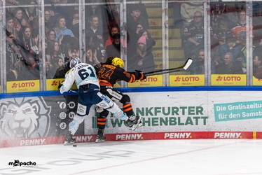 Löwen Frankfurt - Dresdner Eislöwen - 30.12.25 - 106
