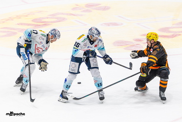 Löwen Frankfurt - Dresdner Eislöwen - 30.12.25 - 109