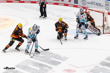 Löwen Frankfurt - Dresdner Eislöwen - 30.12.25 - 111