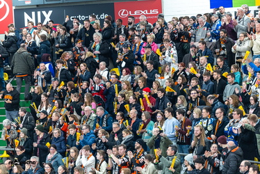 Löwen Frankfurt - Dresdner Eislöwen - 30.12.25 - 118
