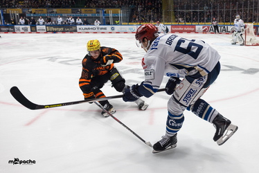 Löwen Frankfurt - Schwenninger Wildwings - 4.1.26 - 026