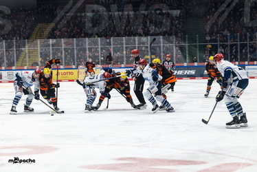 Löwen Frankfurt - Schwenninger Wildwings - 4.1.26 - 039