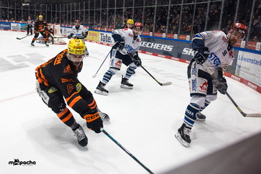 Löwen Frankfurt - Schwenninger Wildwings - 4.1.26 - 044