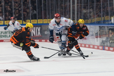 Löwen Frankfurt - Schwenninger Wildwings - 4.1.26 - 048